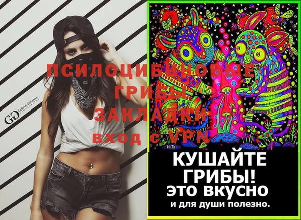 первитин Горнозаводск