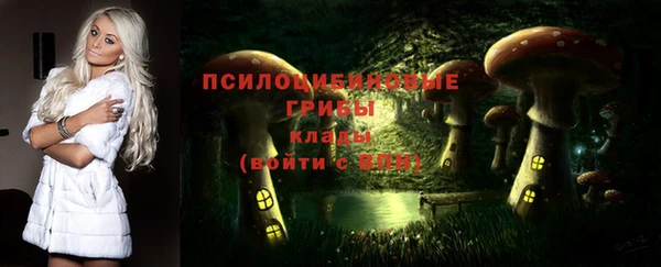 МДМА Горняк