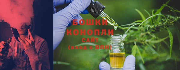 твердый Горно-Алтайск