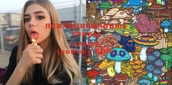 МДМА Горняк