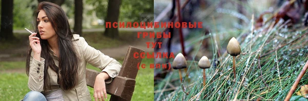 МДМА Горняк