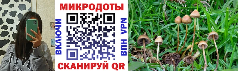 Псилоцибиновые грибы ЛСД  Ершов 